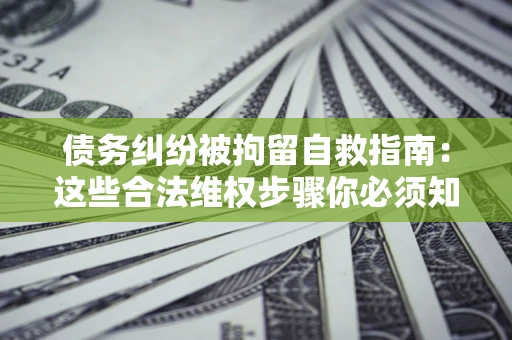 武汉债务纠纷被拘留自救指南：这些合法维权步骤你必须知道！