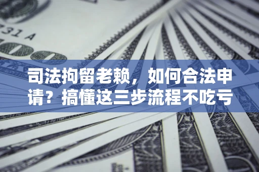 武汉司法拘留老赖，如何合法申请？搞懂这三步流程不吃亏！