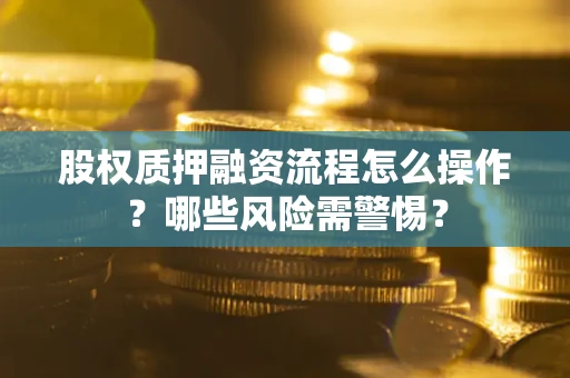 武汉股权质押融资流程怎么操作？哪些风险需警惕？