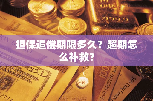 武汉担保追偿期限多久？超期怎么补救？