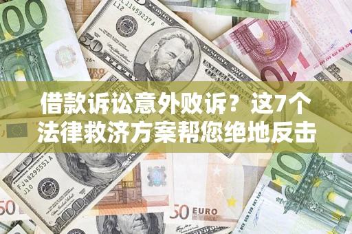 武汉借款诉讼意外败诉？这7个法律救济方案帮您绝地反击！