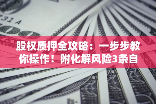 武汉股权质押全攻略：一步步教你操作！附化解风险3条自救法则