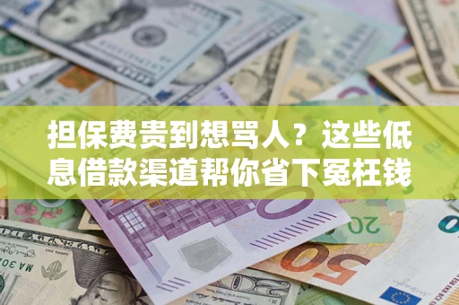 武汉担保费贵到想骂人？这些低息借款渠道帮你省下冤枉钱