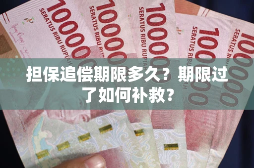 武汉担保追偿期限多久？期限过了如何补救？