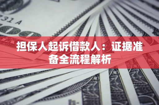武汉担保人起诉借款人：证据准备全流程解析