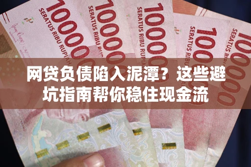 武汉网贷负债陷入泥潭？这些避坑指南帮你稳住现金流