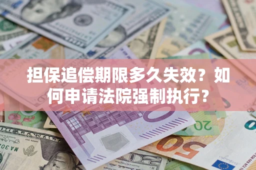 武汉担保追偿期限多久失效？如何申请法院强制执行？