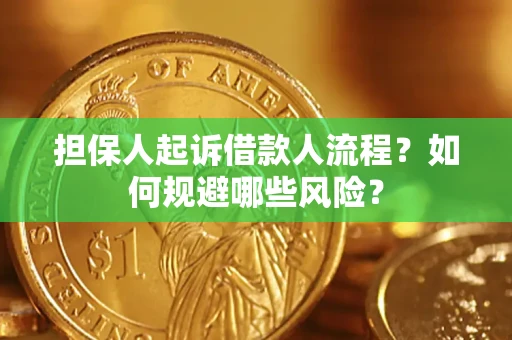武汉担保人起诉借款人流程？如何规避哪些风险？