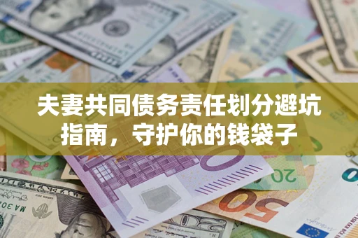武汉夫妻共同债务责任划分避坑指南，守护你的钱袋子