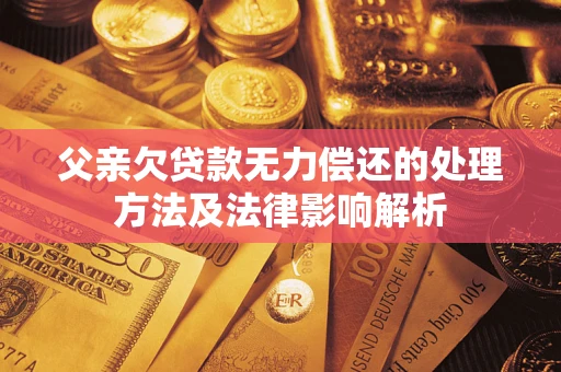 武汉父亲欠贷款无力偿还的处理方法及法律影响解析