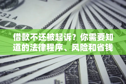 武汉借款不还被起诉？你需要知道的法律程序、风险和省钱技巧