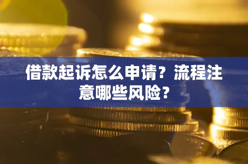 武汉借款起诉怎么申请？流程注意哪些风险？